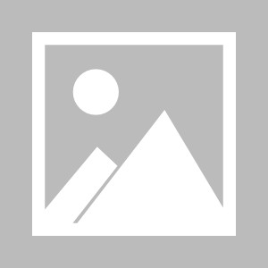 【夜读】燕子，没有你还怎么活